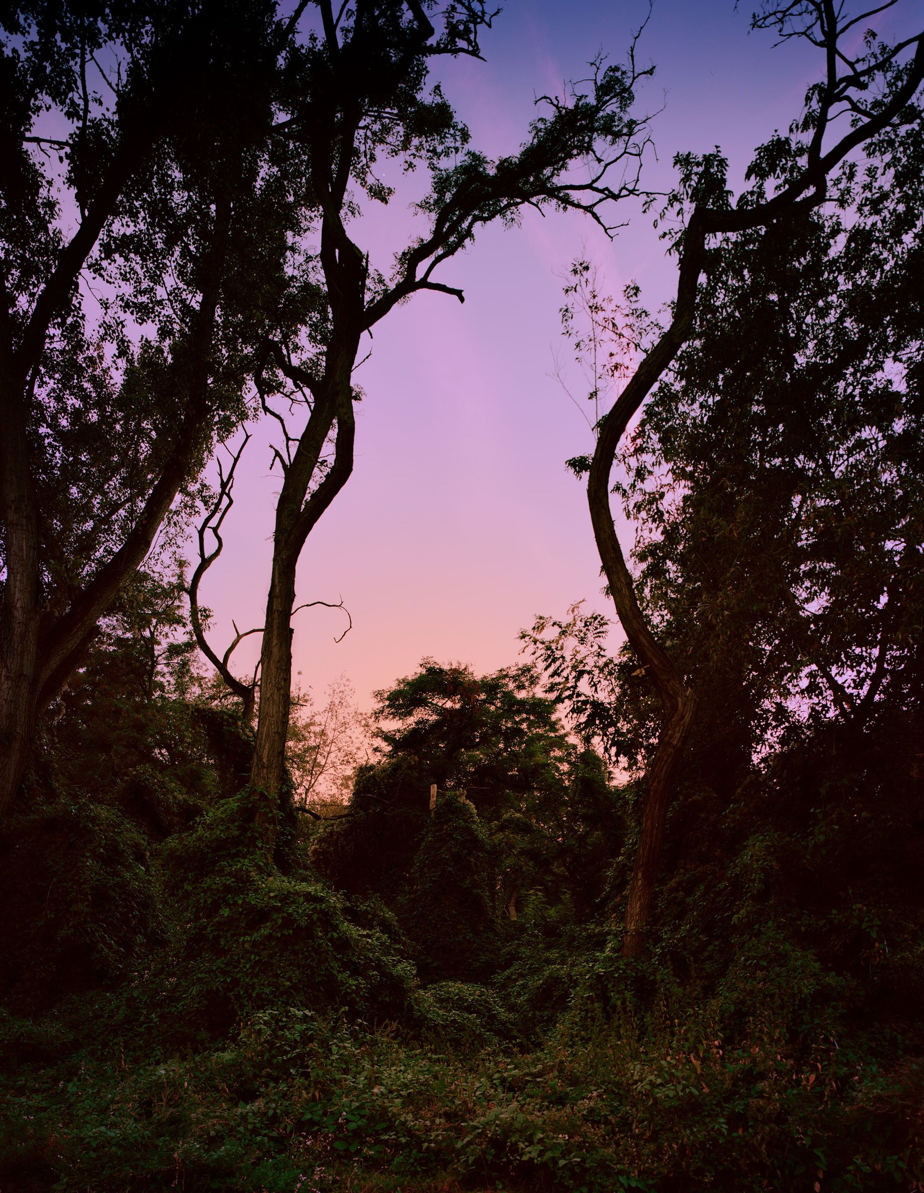 POSTROMANTICS, photograph