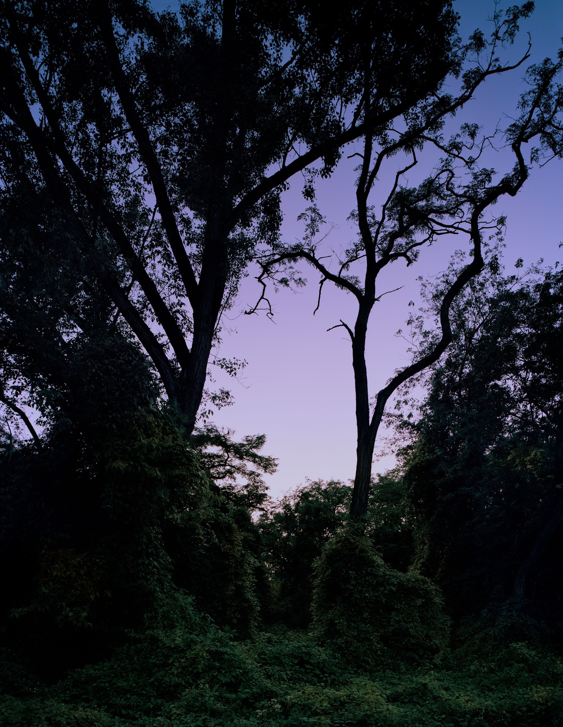 POSTROMANTICS, photograph