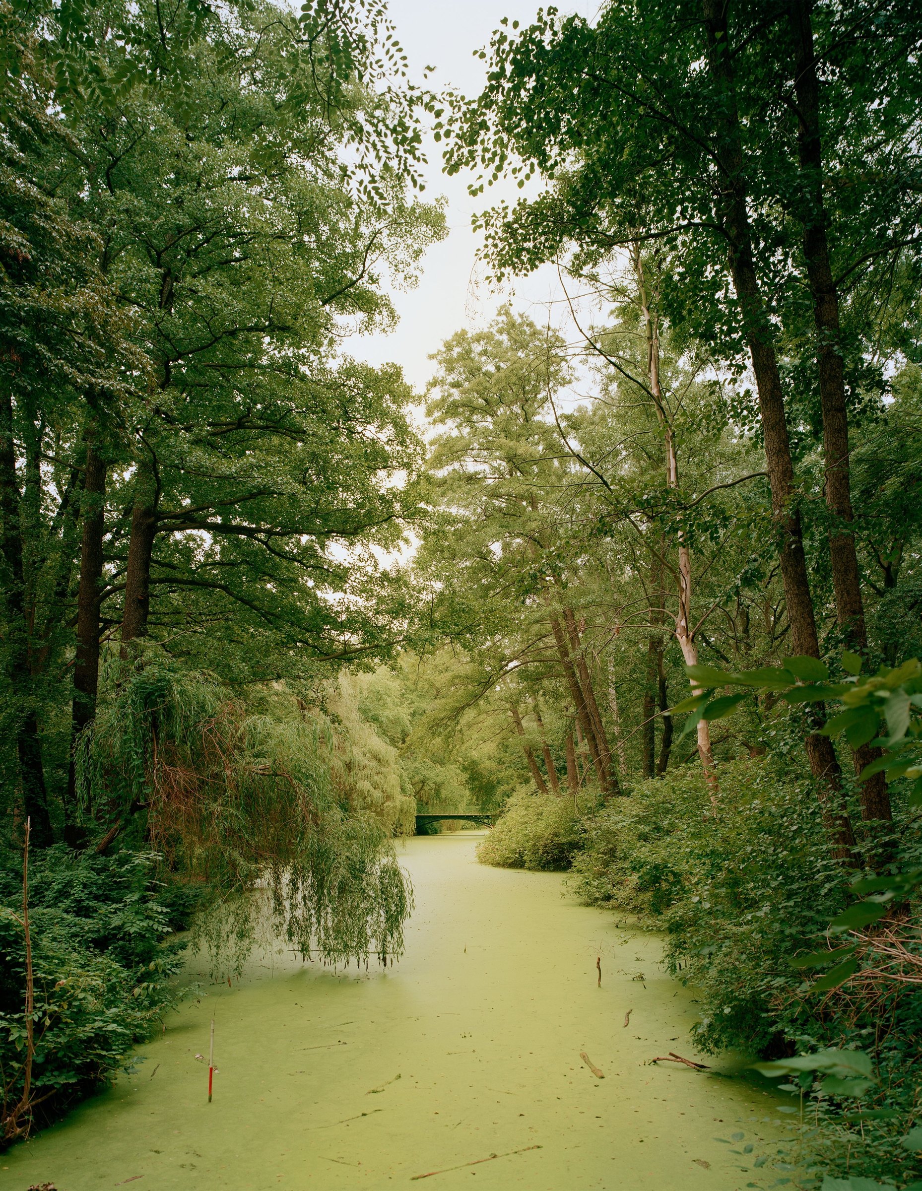 POSTROMANTICS, photograph